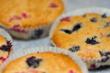 Image showing Muffins