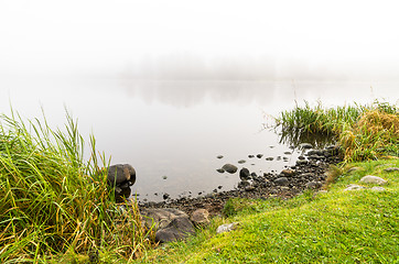 Image showing Misty morning