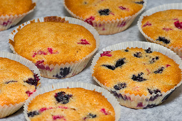 Image showing Muffins