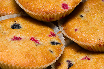 Image showing Muffins