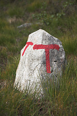 Image showing Hiking trail sign