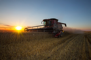 Image showing Fall harvest