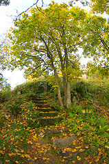 Image showing Stairs