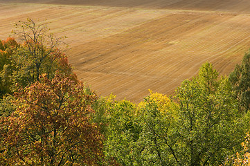 Image showing Landscape