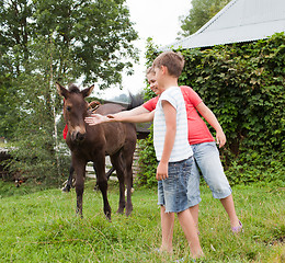 Image showing Children stroking horse