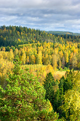 Image showing Autumn colors