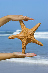 Image showing Starfish woman