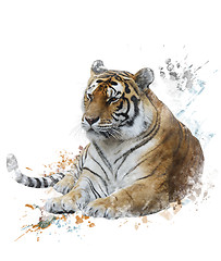 Image showing Watercolor Image Of Tiger