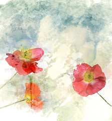Image showing Watercolor Image Of  Poppy Flowers