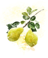 Image showing Watercolor Image Of Yellow Pears