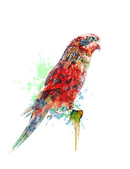 Image showing Watercolor Painting Of Colorful Parrot