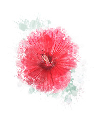 Image showing Watercolor Image Of Hibiscus Flower