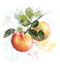 Image showing Watercolor Image Of Apples