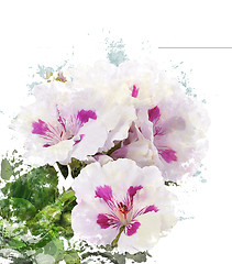 Image showing Watercolor Image Of Geranium Flowers