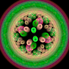 Image showing Symmetrical growth of bacteria