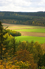 Image showing Autumn colors