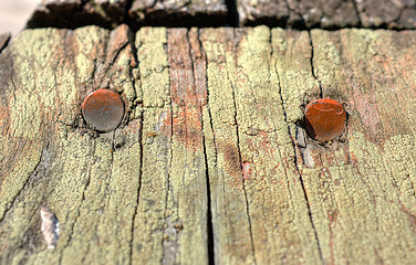 Image showing Rusted nail