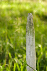 Image showing Pole