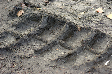 Image showing Truck tracks