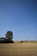 Image showing fields