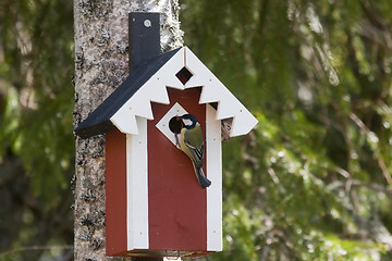 Image showing food delivery