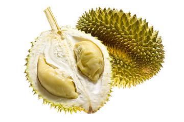 Image showing Tropical fruit - Durian

