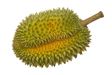 Image showing Single whole durian

