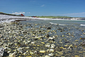 Image showing Sangstrup Klint in Denmark