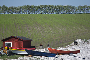 Image showing Sangstrup Klint in Denmark