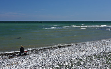 Image showing Sangstrup Klint in Denmark