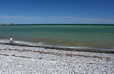 Image showing Sangstrup Klint in Denmark