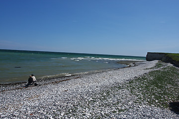 Image showing Sangstrup Klint in Denmark