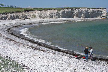 Image showing Sangstrup Klint in Denmark