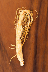 Image showing Ginseng Roots