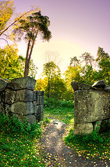 Image showing Ruins