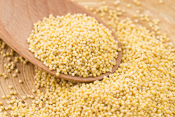 Image showing millet groats 