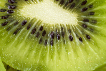 Image showing Kiwi slices for background