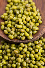 Image showing Mung beans over wooden spoon