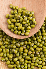 Image showing Mung beans over wooden spoon