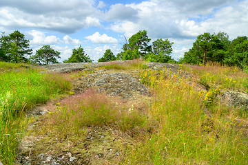 Image showing Hill