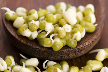 Image showing Sprouted mung beans