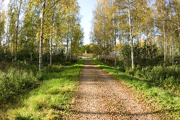 Image showing Dirt road