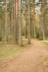 Image showing Jogging trail