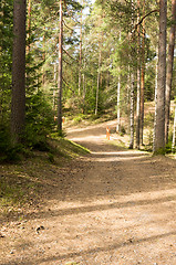 Image showing Jogging trail