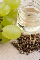 Image showing grape seed oil 