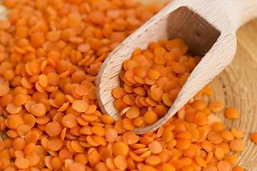 Image showing Dry Organic Red Lentils