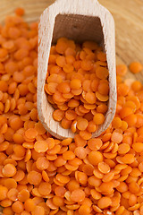 Image showing Dry Organic Red Lentils