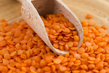 Image showing Dry Organic Red Lentils