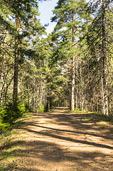 Image showing Jogging trail