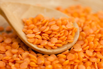 Image showing Dry Organic Red Lentils